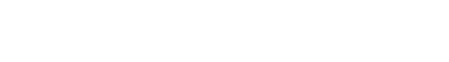 Kaktus Adventure Vans